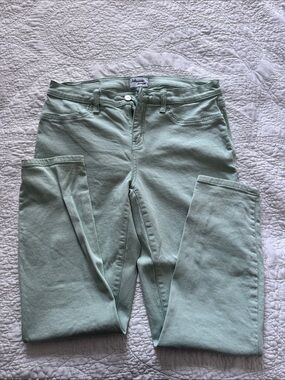 Lakeview Denim Mint Green Skinny Jeans